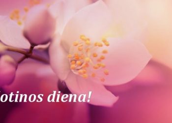 Mamos dienos PrLB susitikimas Paryžiuje