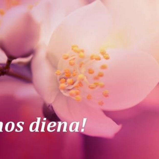 Mamos dienos PrLB susitikimas Paryžiuje