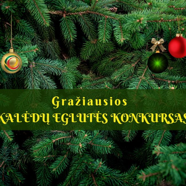 Kalėdinių eglučių konkursas!