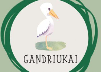 Strasbūro lituanistinės mokyklos „Gandriukai“ naujienos