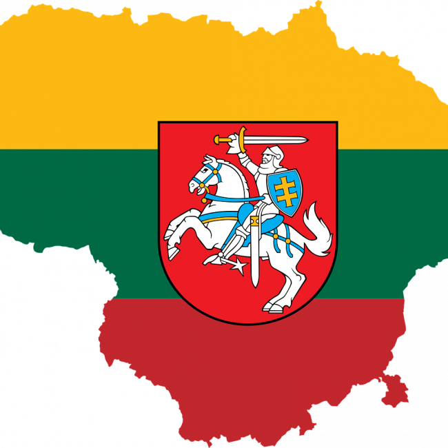 Susipažink su Šaulių Sąjungą! Tiesiogiai iš Paryžiaus ir internetu