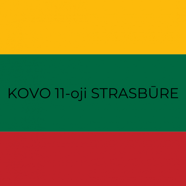 Kovo 11-osios renginiai Strasbūras